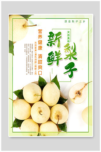 新鲜梨子应季水果宣传 雪梨海报