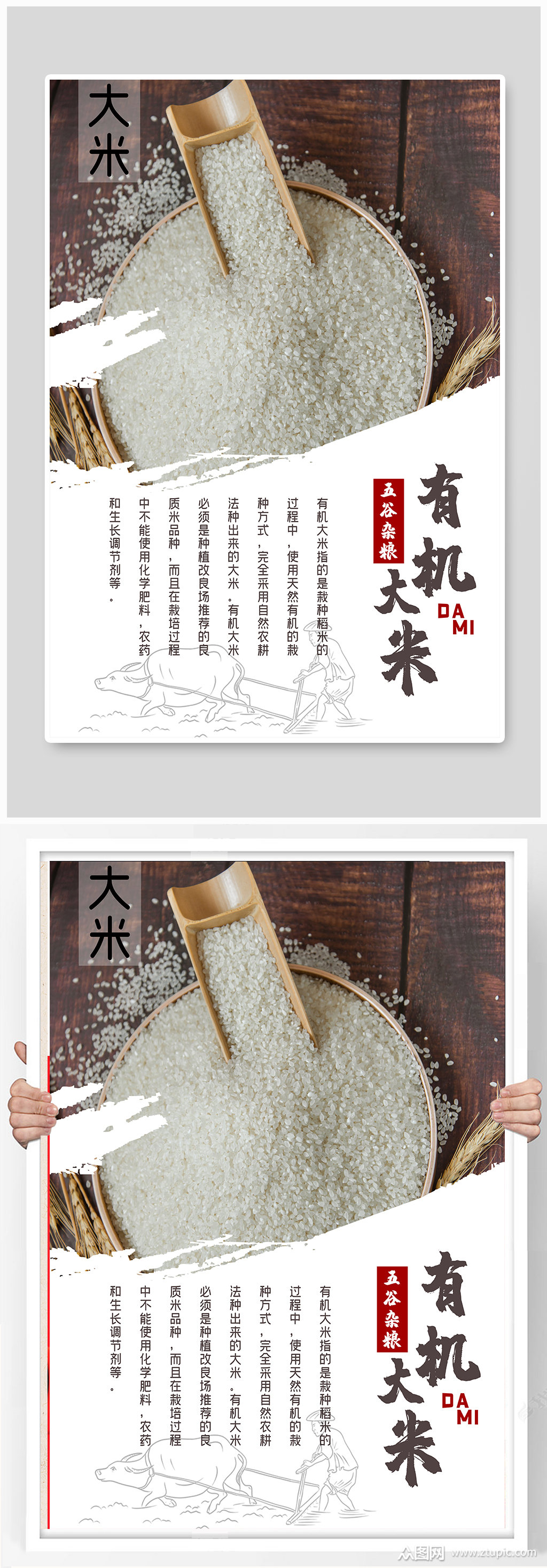 五谷杂粮大米宣传海报