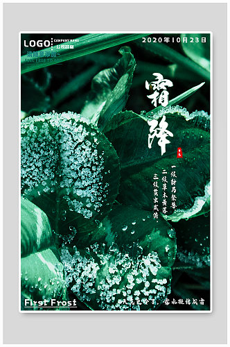 霜降节气植物宣传海报