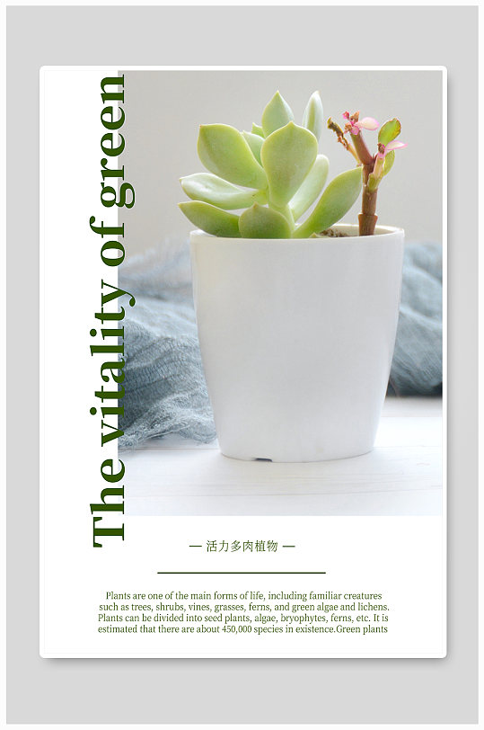 小清新简约文艺活力植物海报-众图网