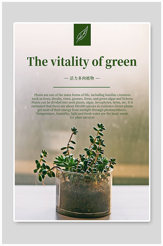 小清新简约文艺活力多肉植物海报-众图网