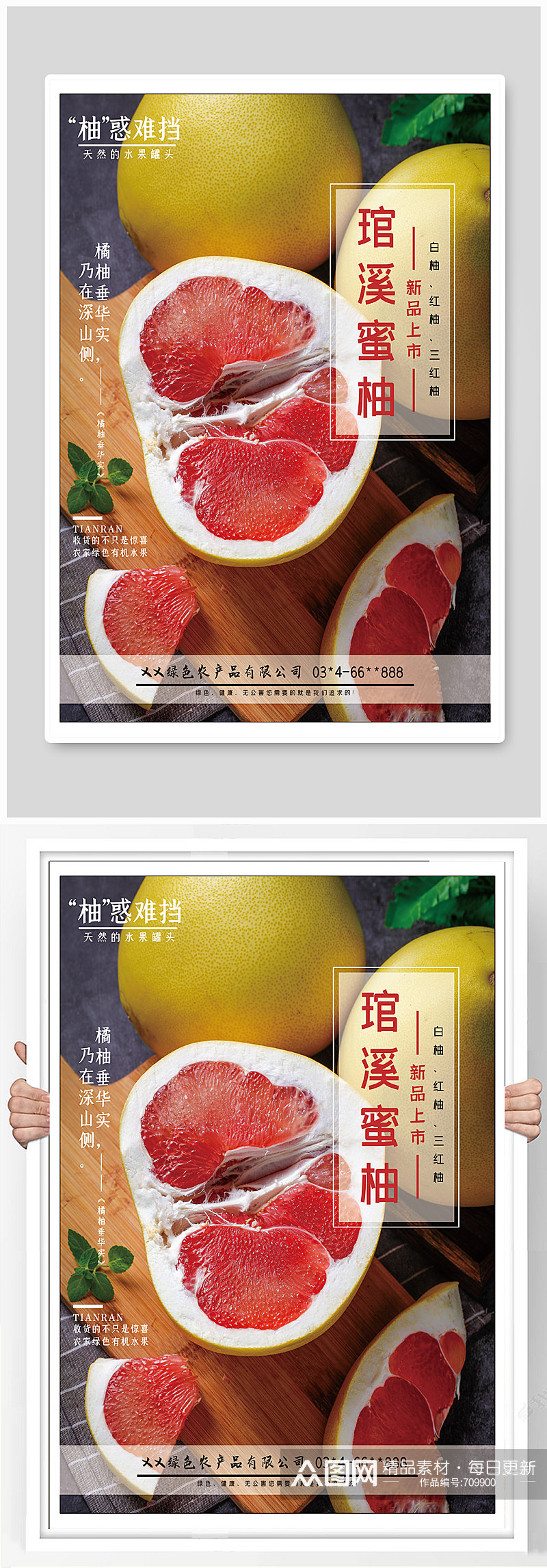 鲜蔬菜水果蜜柚农产品促销 柚子海报素材