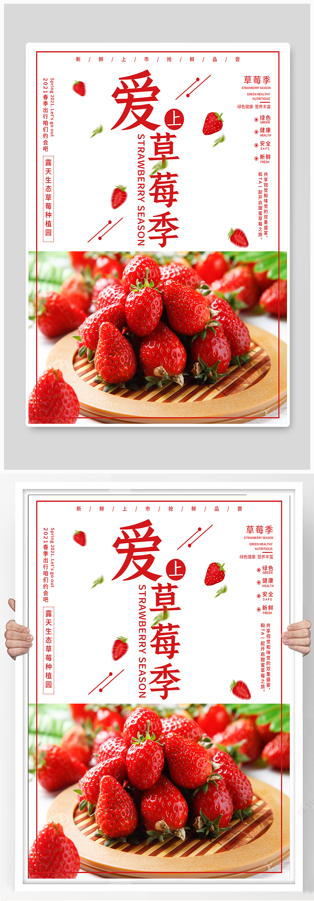 草莓季摘草莓海报素材