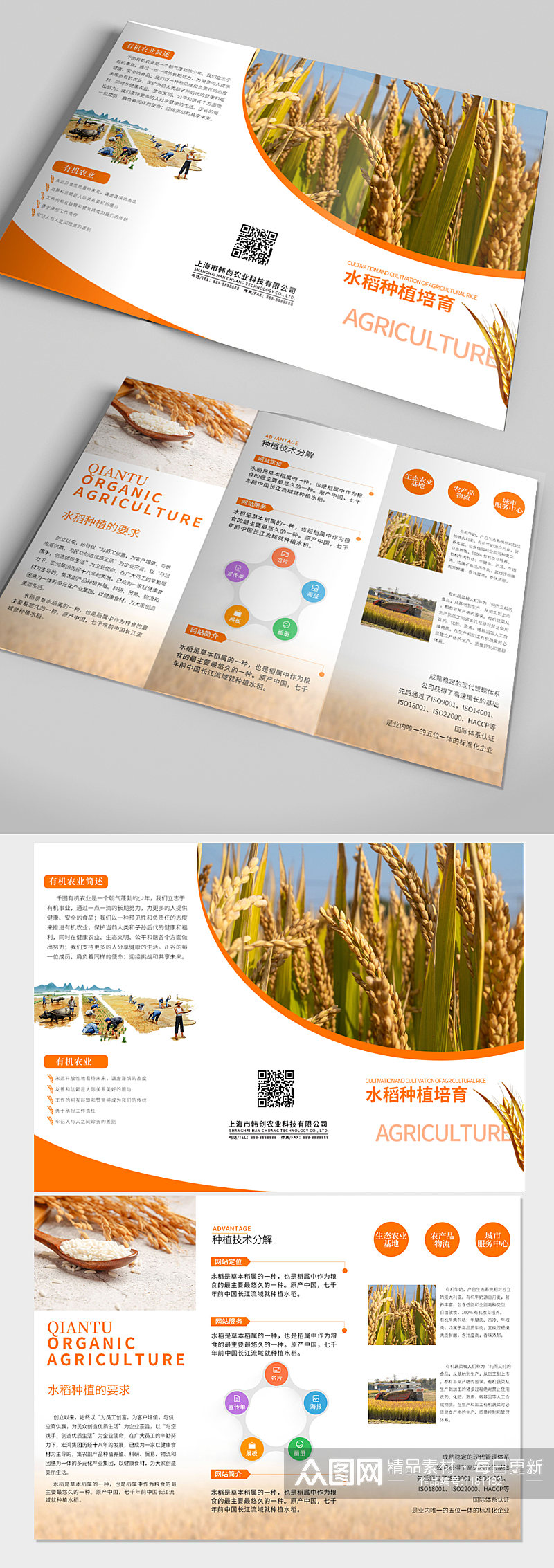水稻种植培育通用宣传折页素材