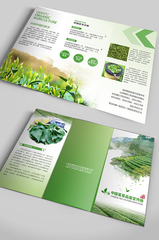中国名茶宣传折页