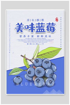 美味蓝莓宣传海报