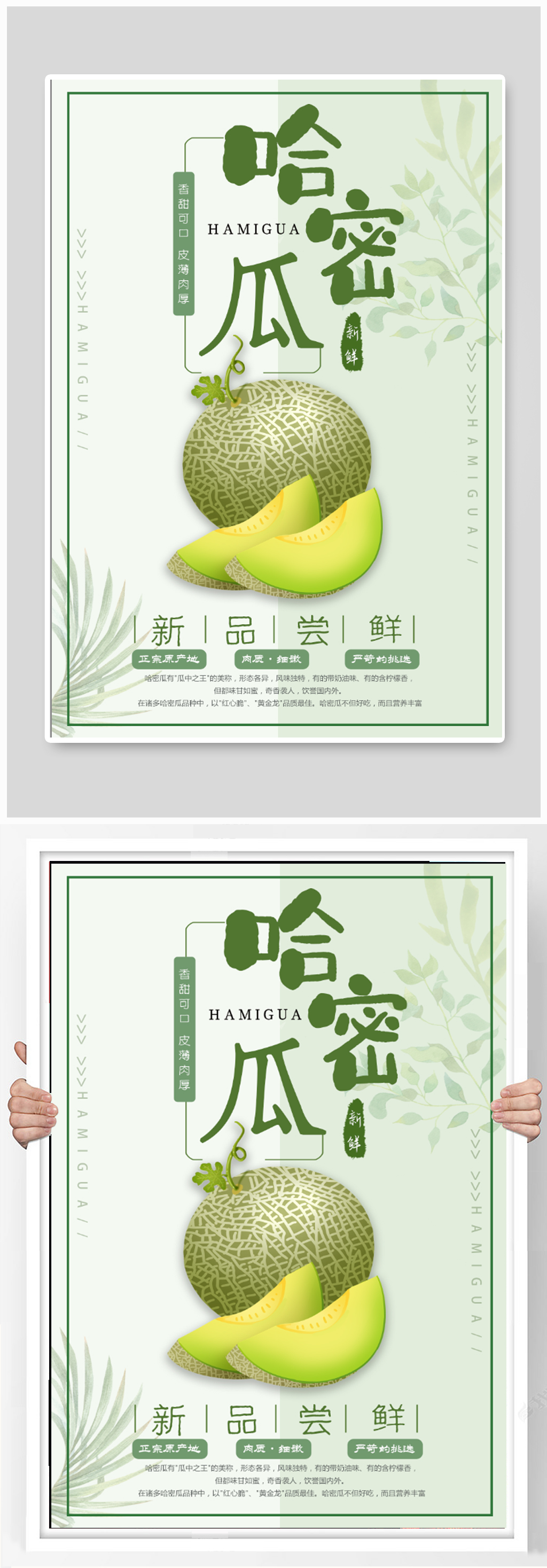 哈密瓜水果宣传海报素材