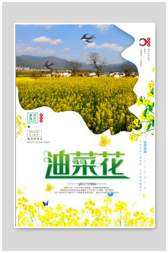 油茶花旅游宣传海报