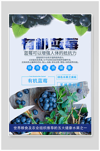 有机蓝莓水果促销海报