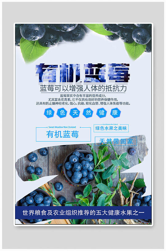 有机蓝莓水果促销海报-众图网