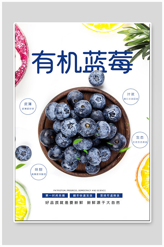 有机蓝莓水果海报-众图网