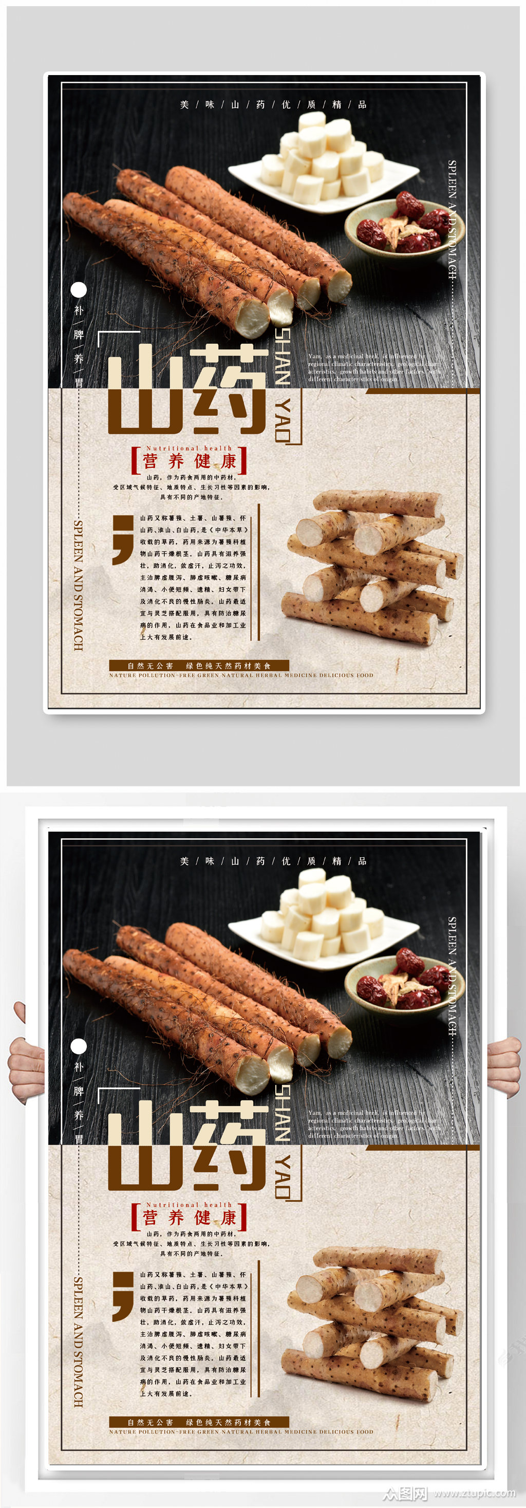 山药铁棍山药价值海报