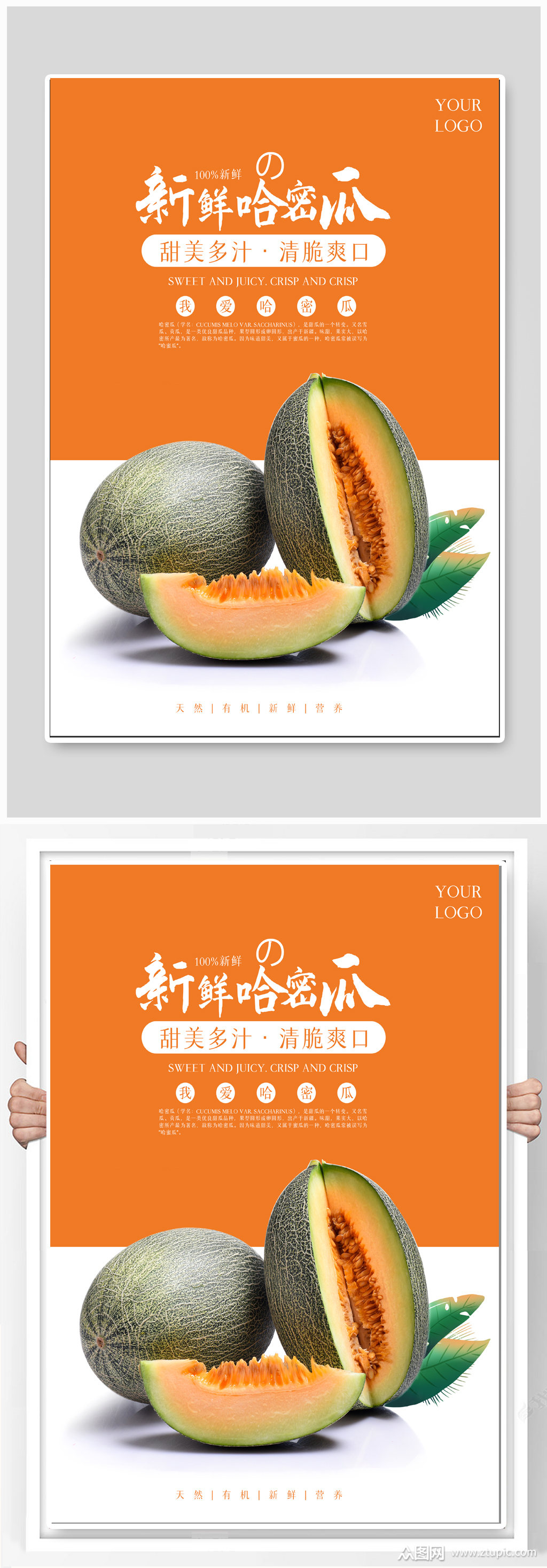 新鲜哈密瓜水果促销海报