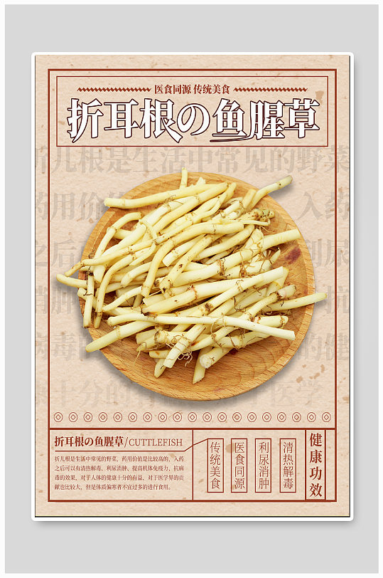 折耳根鱼腥草简介