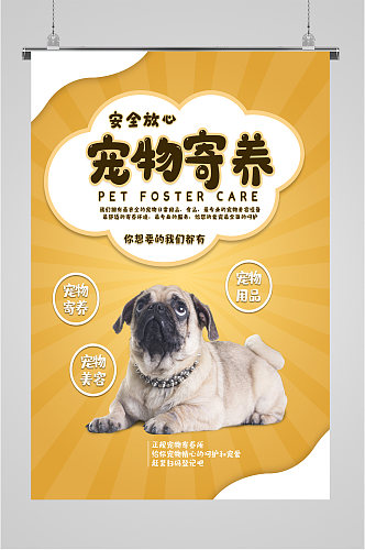 宠物寄养宠物店宣传海报