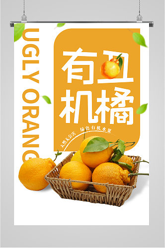 丑橘水果促销海报