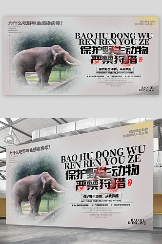 保护野生动物宣传展板