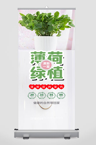 薄荷绿植宣传展架