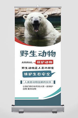 保护野生动物宣传展架