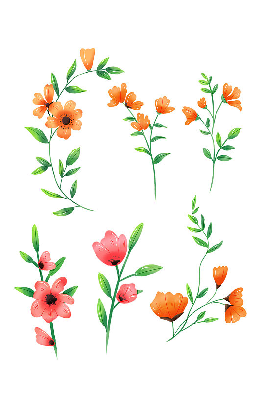 手繪花插畫花水彩花