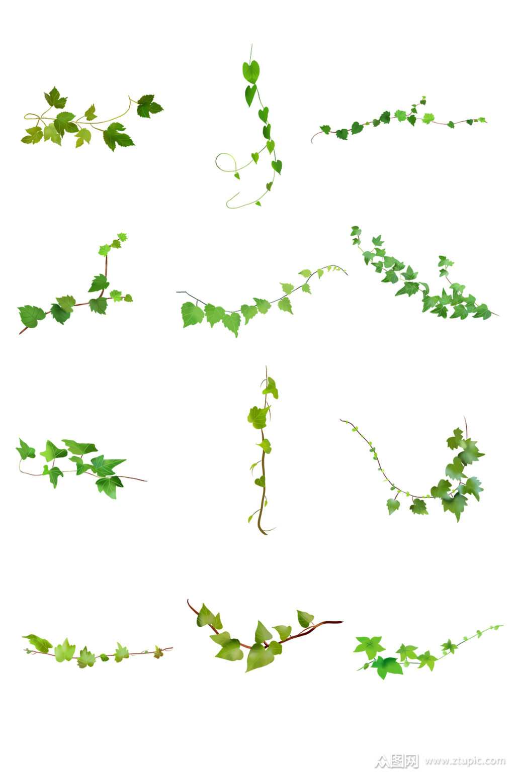 手绘绿色藤叶藤条植物元素