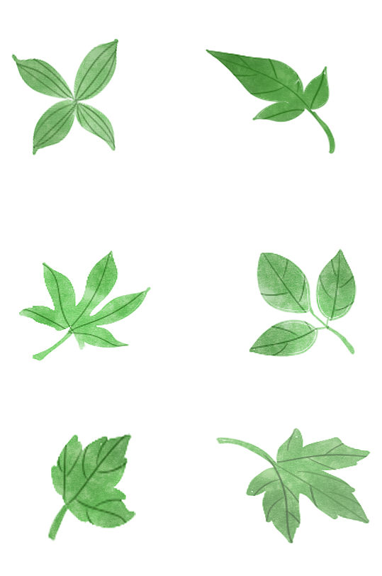 绿叶底图片-绿叶底素材下载-众图网