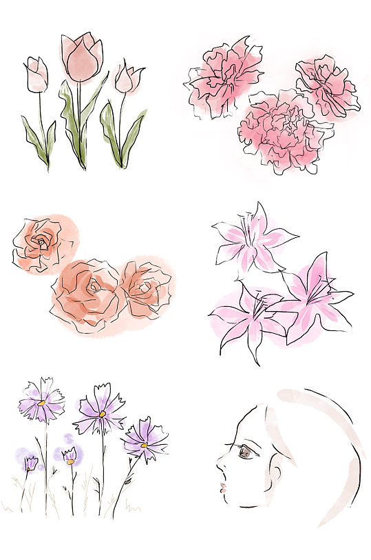 郁金香玫瑰花牡丹手绘矢量