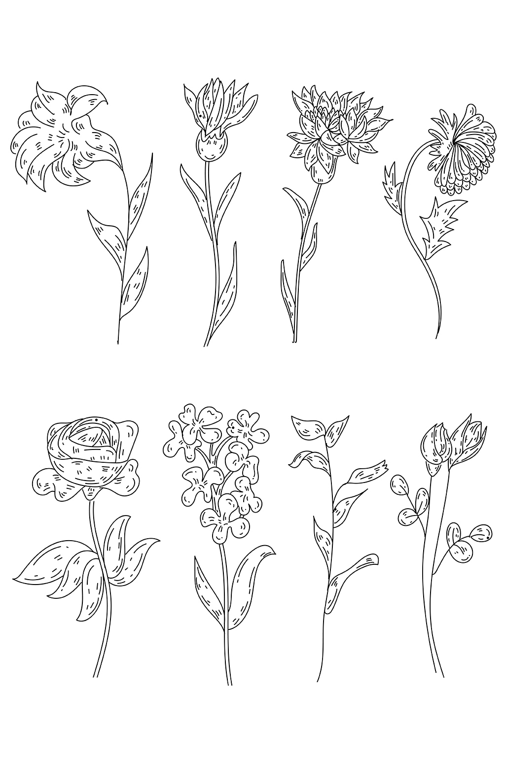 单色手绘植物花卉插画素材