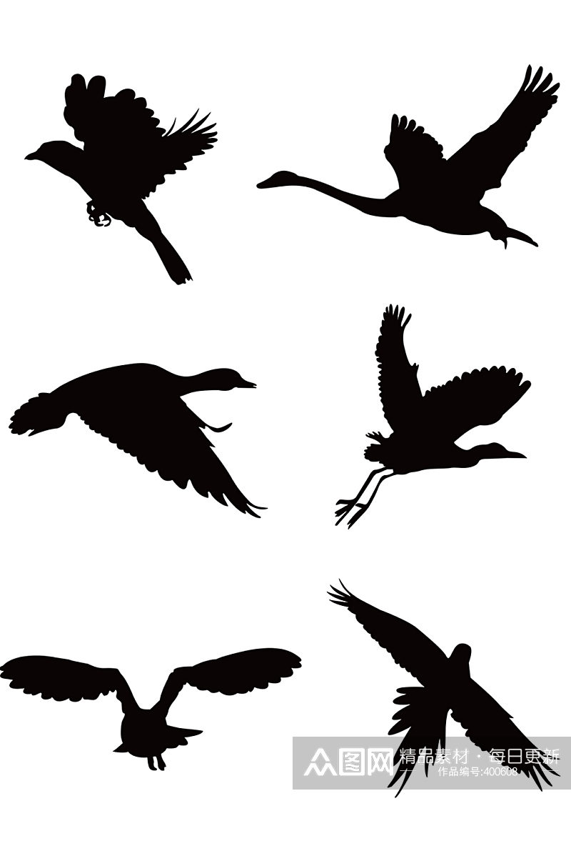 动物鸟剪影飞翔动态素材