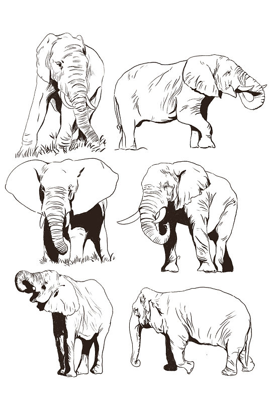 手绘大象png透明素材