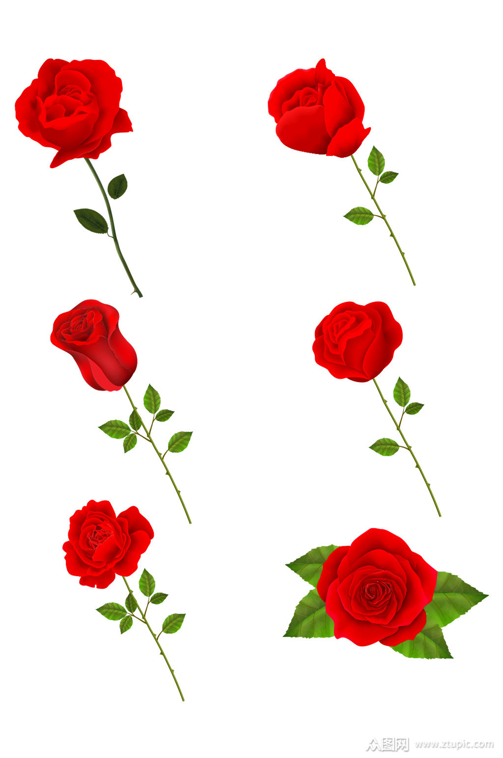 花卉玫瑰花绿植免抠素材