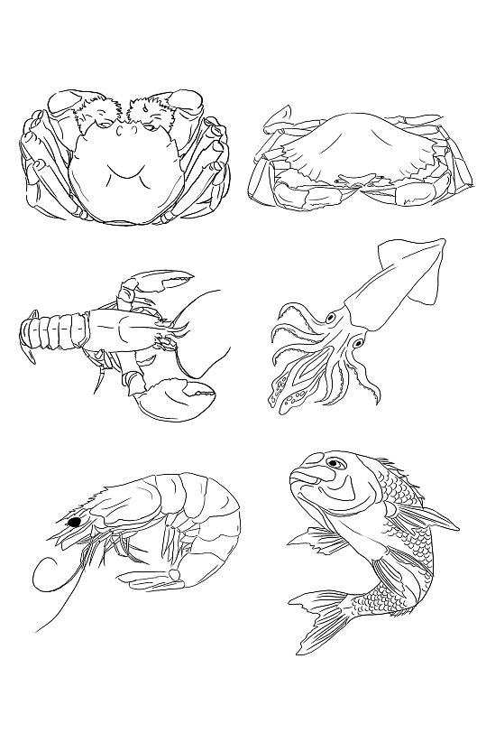 手绘线稿虾海鲜素材-众图网