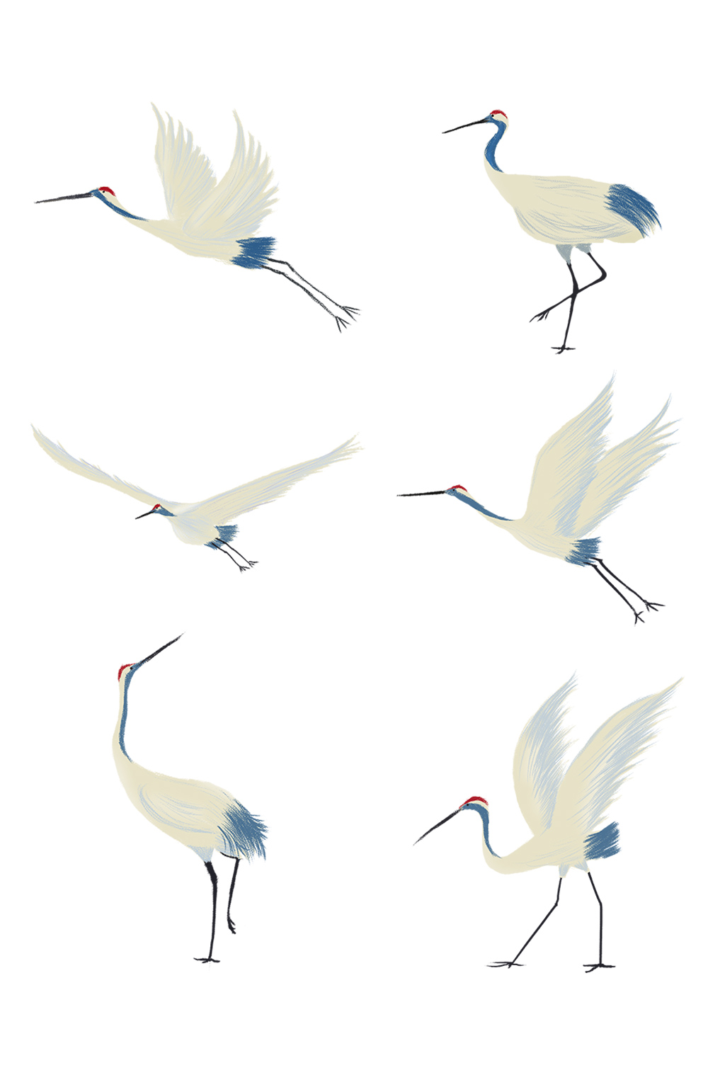 手绘中国风吉祥鹤元素套图