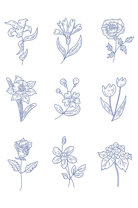 花和花瓣手绘线条矢量元素