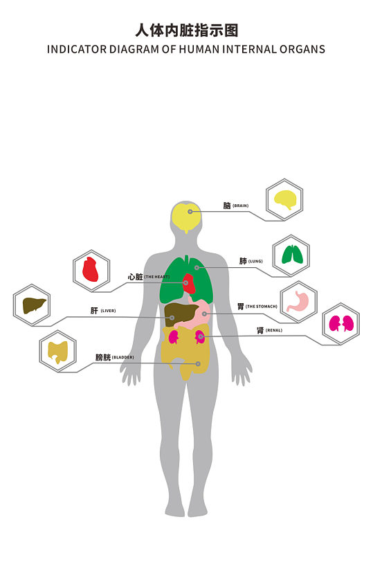 人体信息图ppt图表