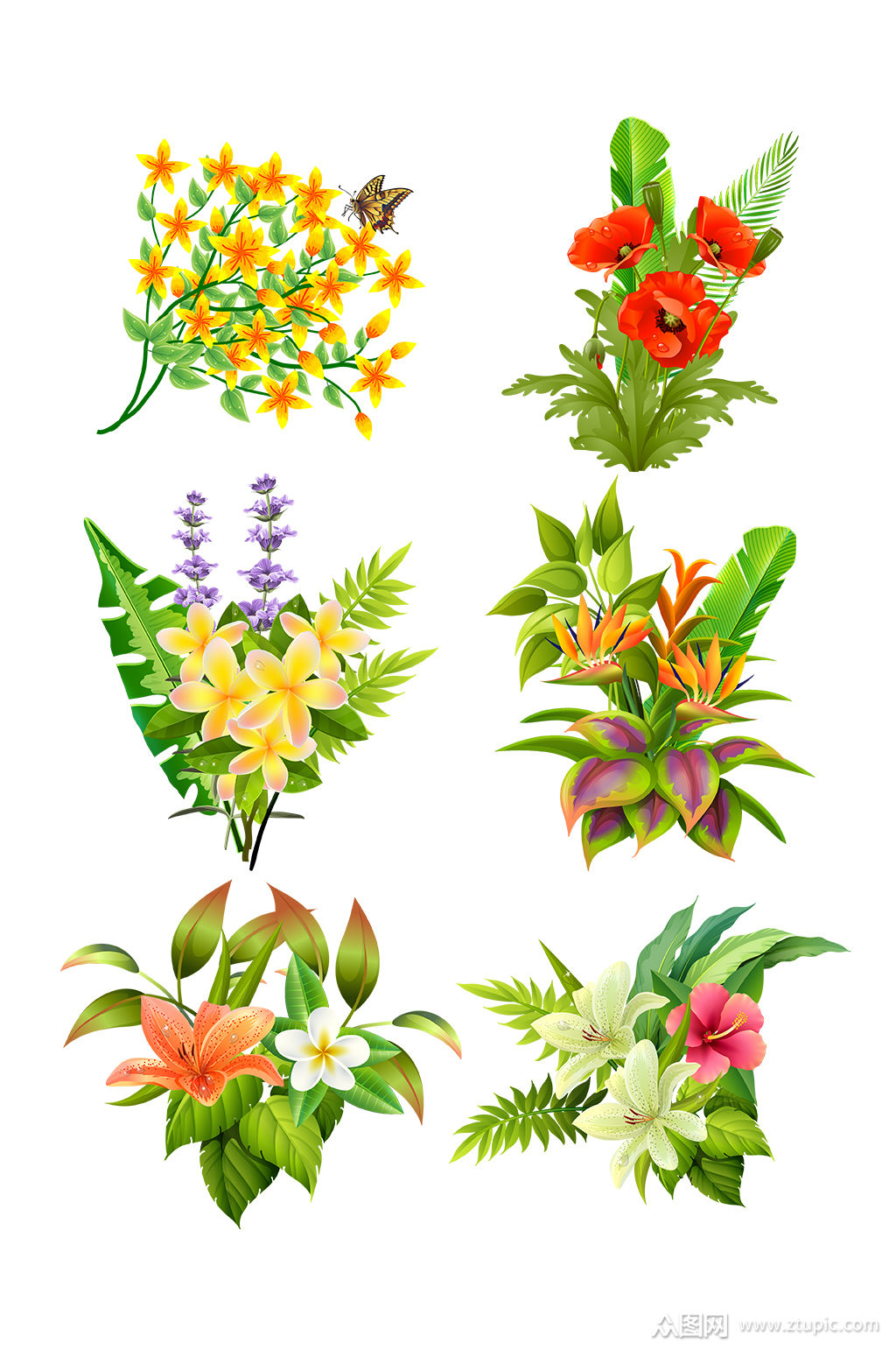 手绘矢量鲜花植物设计元素