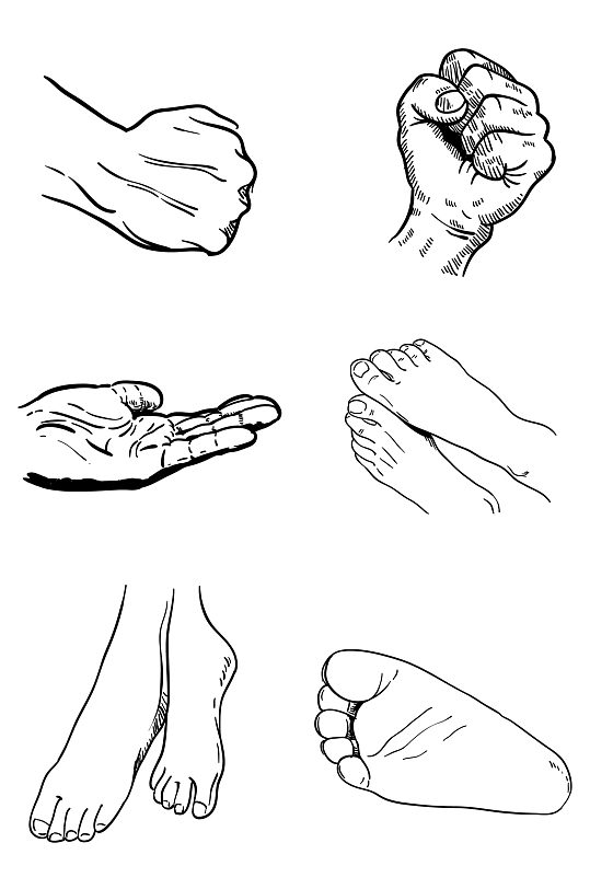 手脚写实手绘线描免抠