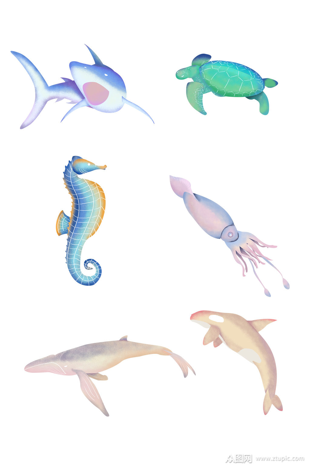 梦幻海底生物海洋世界