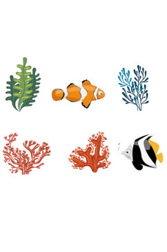 五颜六色的珊瑚礁鱼免抠