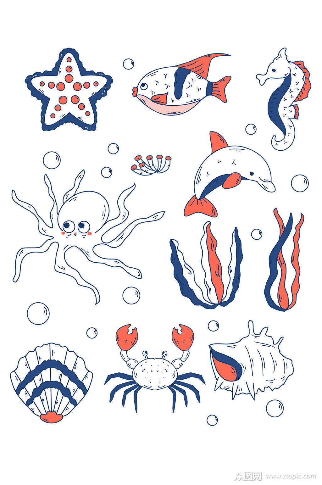 海洋生物植物手账素材元素
