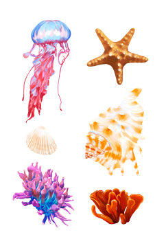 海洋生物水母海星珊瑚套图 卡通水母