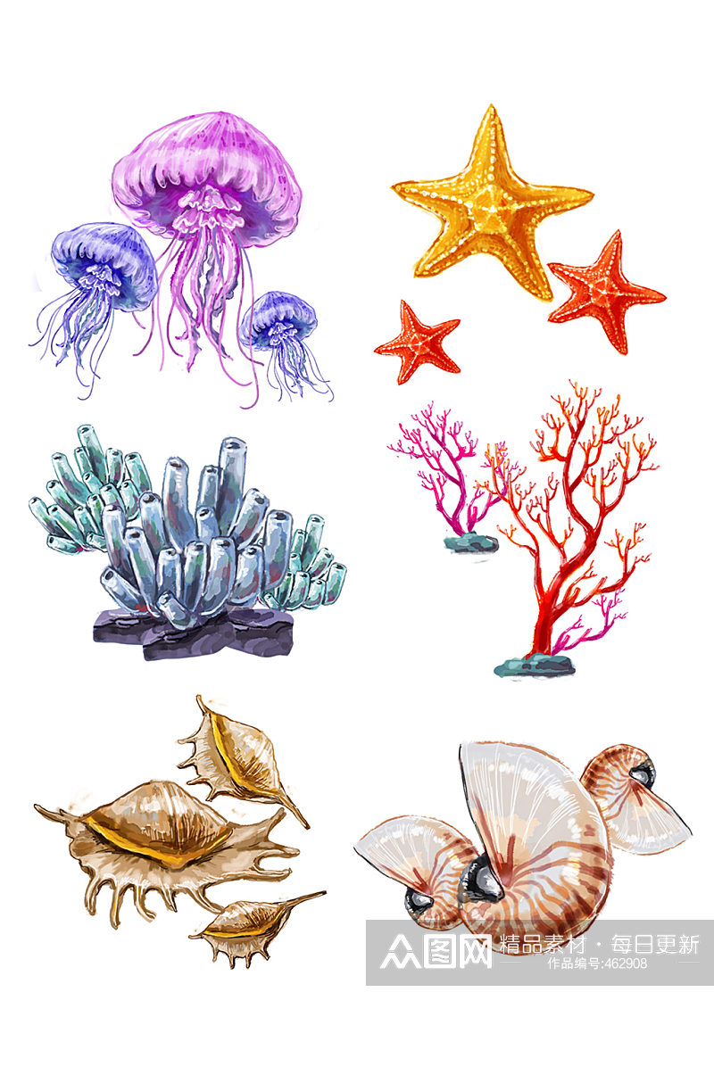 海洋无脊椎生物珊瑚元素素材
