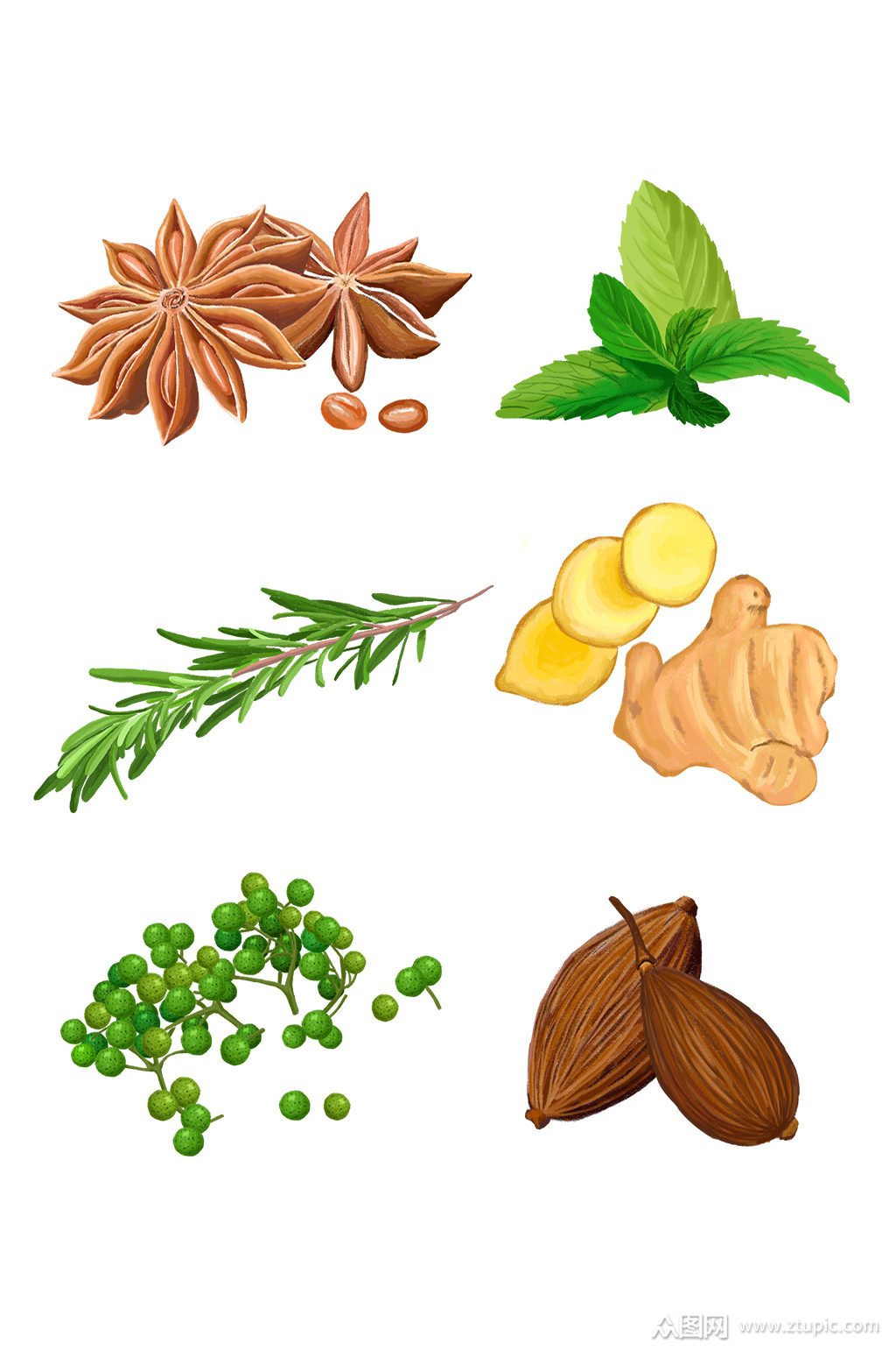 众图网独家提供调味料免扣藤椒八角迷迭香素材免费下载,本作品是由九