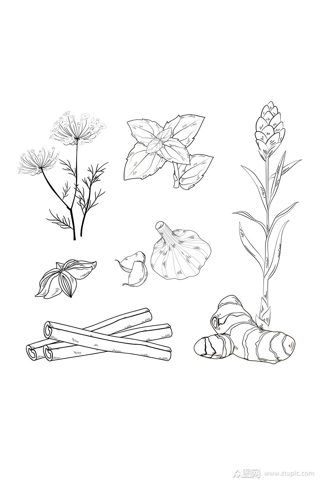 黑白手绘线描香料元素矢量素材