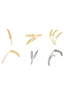小满麦子小麦麦穗设计元素