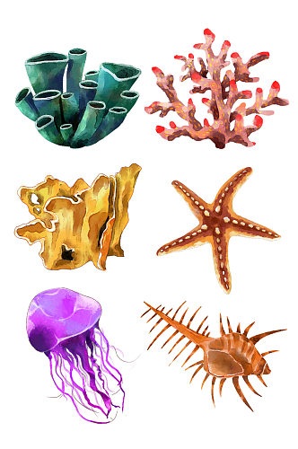 海洋无脊椎生物珊瑚海星
