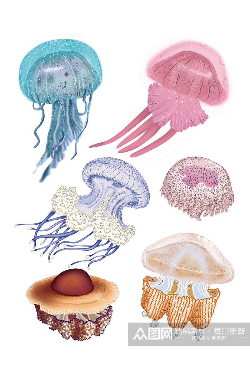 彩色水生物水母海洋生物 卡通水母素材