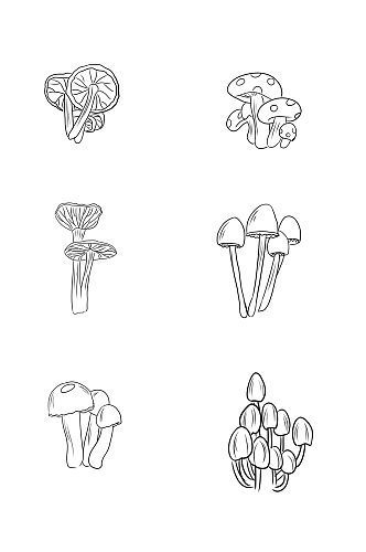 黑白手绘蘑菇设计免抠