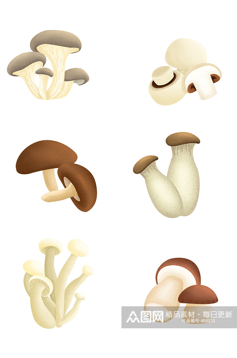香菇菜树菇设计元素免抠素材