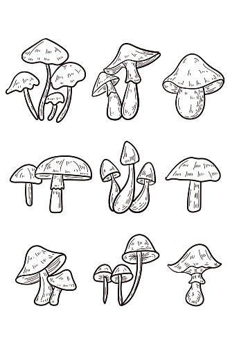黑白手绘蘑菇插画免抠